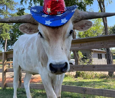 Family Farm Day: Fourth on the Farm