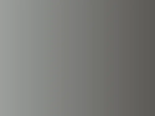 Artist Talk at Pearl Fincher Musuem