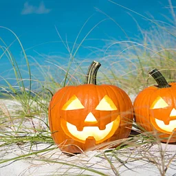 Halloween Costume Party: October 23rd- October 25th