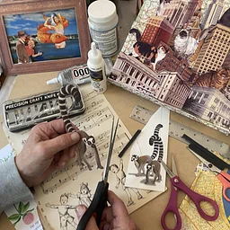 Collage Class