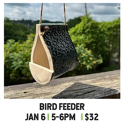 Bird Feeder