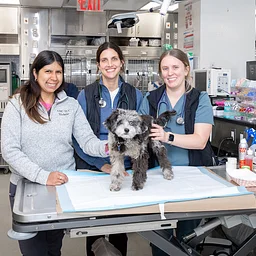 Animal Medical Center