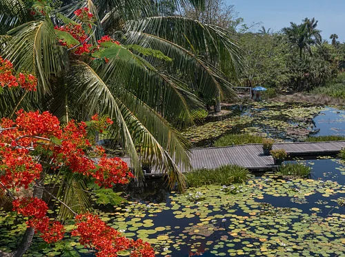 Naples Botanical Garden Closed