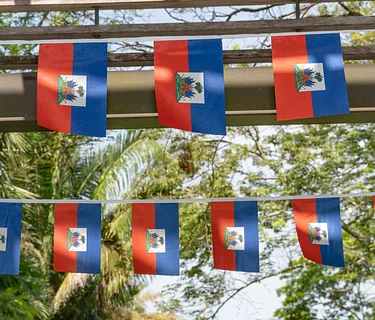 Haitian Flag Day