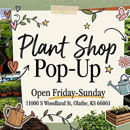 HOFF Plant Shop Pop-Up 🌿