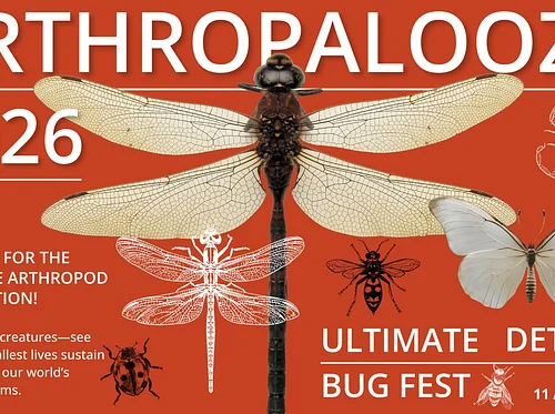 Arthropalooza: Ultimate Bug Fest at VVM