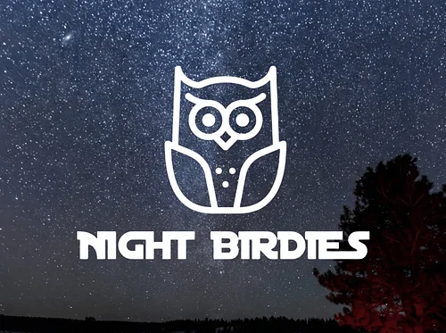 Night Birdies: Golf Under the Stars