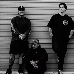 The Amity Affliction