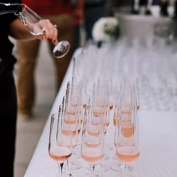 Seeing Red Wine Festival Celebration of Bubbles