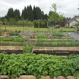 McMinnville Community Garden