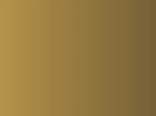 V&T No. 25 and Glenbrook Steam Train Rides