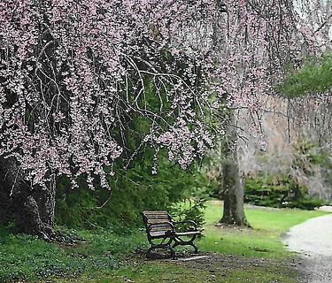 Grounds Tours