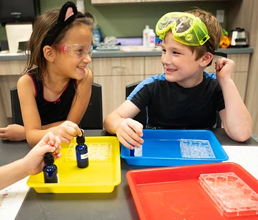 Chemistry: Chemists in Action