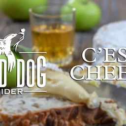 Cider and Cheese Pairing: An Event at the Music Hall