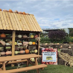BOOtanical: Autumn Festival & Pumpkin Patch