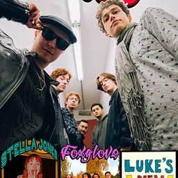 Joint Souls | Luke's New Band | Foxglove | Stella Jones
