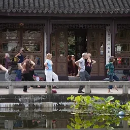 Wild Goose Qigong