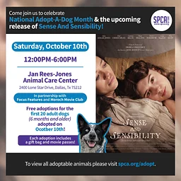 Adoptions in celebration of the release of Sense and Sensibilty in Partnership with Focus Features and Moroch Movie Club