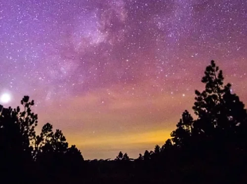 Yoga Under The Stars – Spring Series 2, Week 5