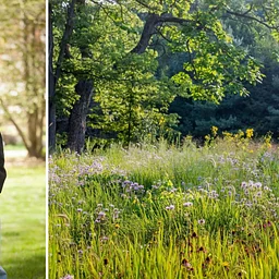 Breaking the Rules: Ecology-Based Landscape Design