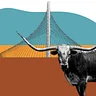 Dallas–Fort Worth