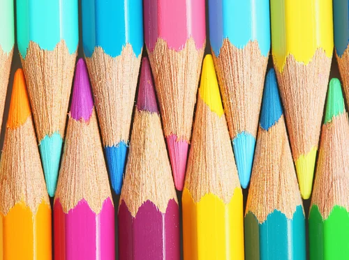 Botanical Drawing with Color Pencils Workshop