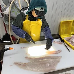 Seafood HACCP Segment 2 — September 2026