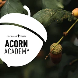 Acorn Academy (SOLD OUT)