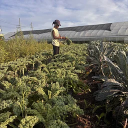 Fundraising for Farmers: Where to Find Resources & How to Apply - NEW DATE
