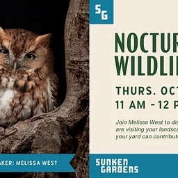 Nocturnal Wildlife 101: Things That Go Bump in the Night