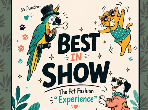 A Pet Fashion Experience: Improv Special