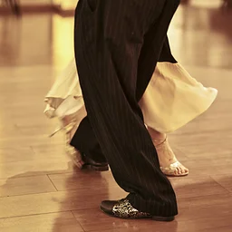 Waltz Dance Classes