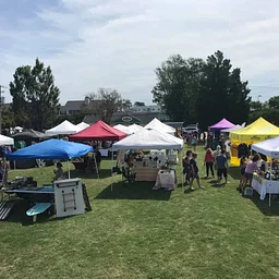 Old Beach Art & Eco Market