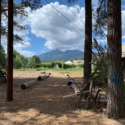 Safe and Connected: Roadways and Wildlife