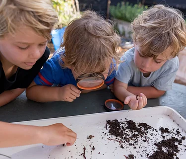 Sprout & Shout Farm Camp