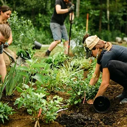 Landscape Design Fundamentals