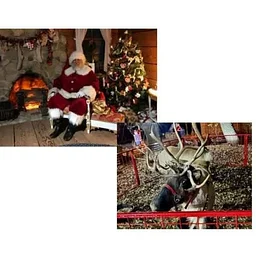 Holidays at the Inn - A Grand Reunion - 1-4 & 6:30-8:30