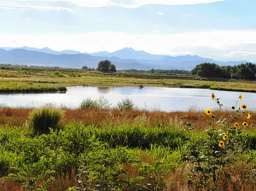 Amazing Insects at Sandstone (4/25/2026)