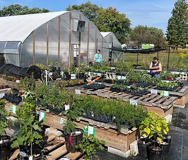 Spring Plant Sale