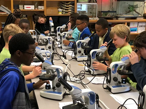 Microscopes and Marine Communities