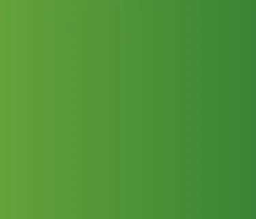 Introduction to Birdwatching Outings