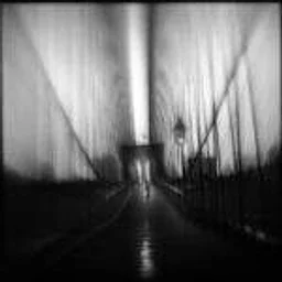 Beyond Focus: Mastering The Art of Blur with Susan Burnstine