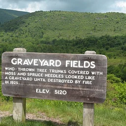 October Hike Series: Graveyard fields loop