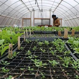 Horticulture Volunteer Day