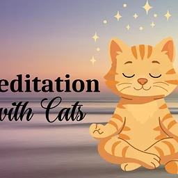 Guided Meditation Hour with Cats