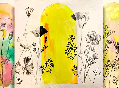 Drawing Plants, Seeing Plants: Botanical Drawing as Mindfulness Practice