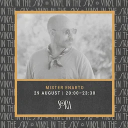 Vinyl in the Sky | Mister Enarto