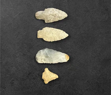 LHS Membership Annual Meeting and Presentation