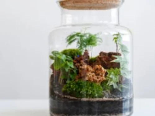 Terrarium Workshop