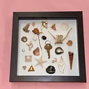 Trinket Frames